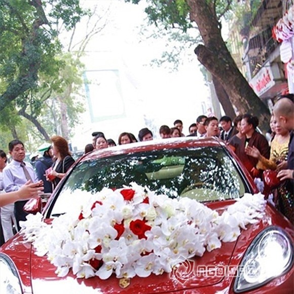 Bộ sưu tập xế khủng của vợ chồng Tuấn Hưng 1