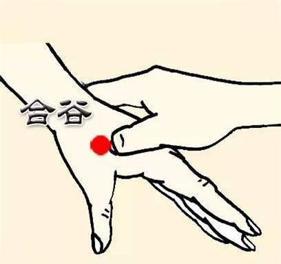 Ấn huyệt Hợp cốc giúp thanh nhiệt, giảm đau.