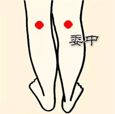 Ấn huyệt Ủy trung giúp giảm đau vùng lưng và thắt lưng.