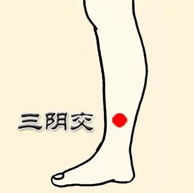Thường xuyên ấn huyệt Tam âm giao, giúp phụ nữ dưỡng âm, làm đẹp