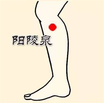 Ấn huyệt Dương lăng tuyền giúp giảm đau vai, sưng ngực, đau thần kinh liên sườn...