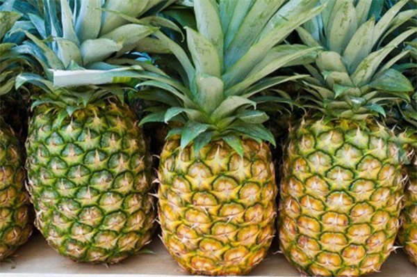 mon-an-blogtamsuvn (4)