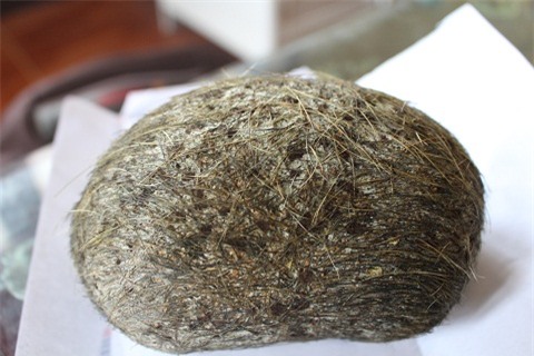 quả trứng vàng thứ 2 được tìm thấy ở huyện Đan Phượng