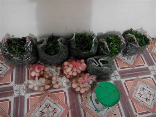 lo ngai thuc pham ban, rau thit que