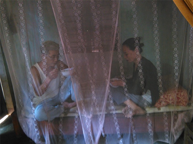 ruồi, ruồi nhặng, bãi rác