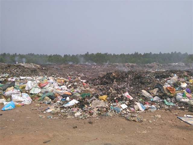 ruồi, ruồi nhặng, bãi rác