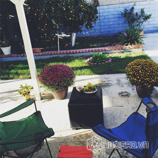 Khu vườn sao Việt ở nước ngoài 0