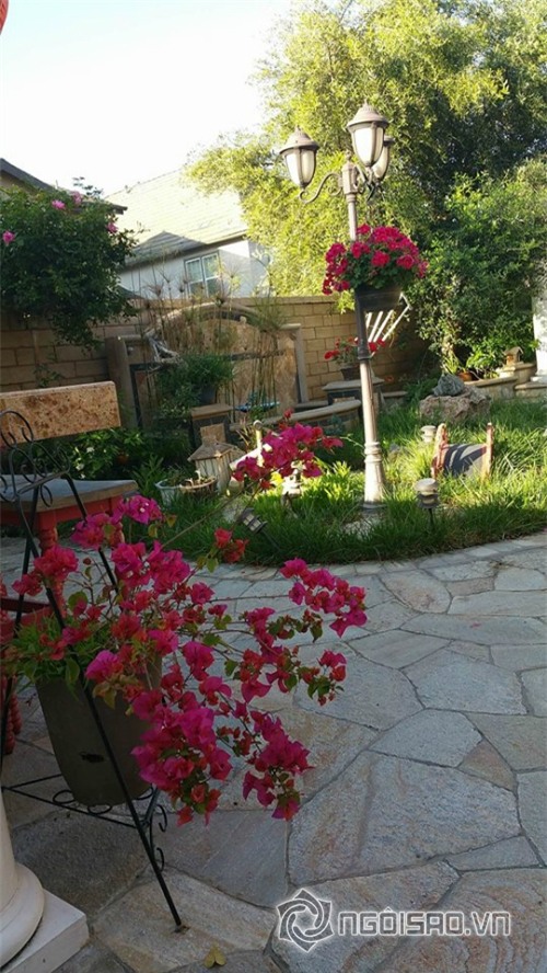 Khu vườn sao Việt ở nước ngoài 0