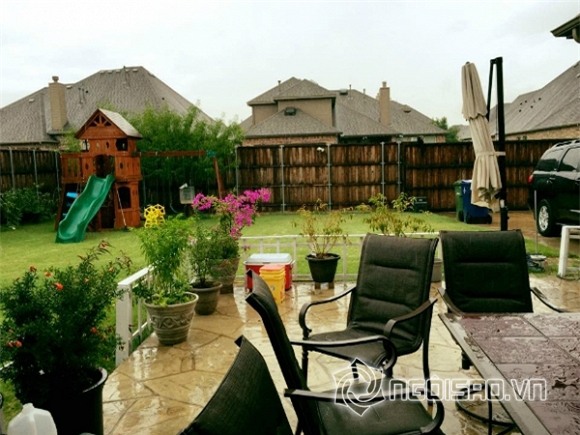 Khu vườn sao Việt ở nước ngoài 0