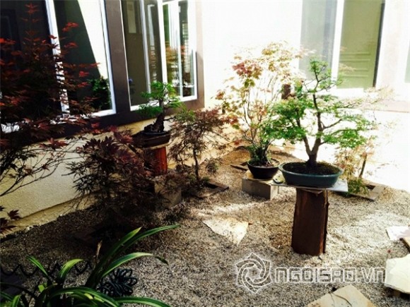 Khu vườn sao Việt ở nước ngoài  6