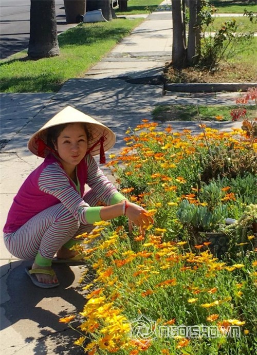 Khu vườn sao Việt ở nước ngoài  16