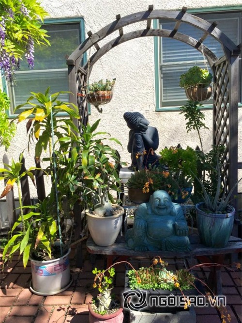 Khu vườn sao Việt ở nước ngoài 15