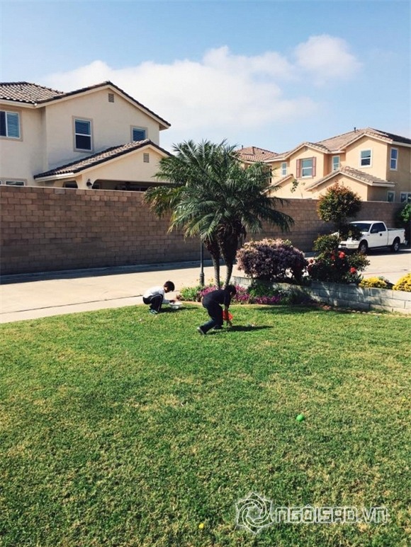 Khu vườn sao Việt ở nước ngoài 5