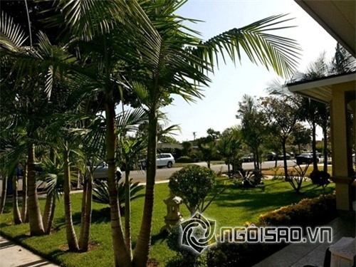 Khu vườn sao Việt ở nước ngoài  4