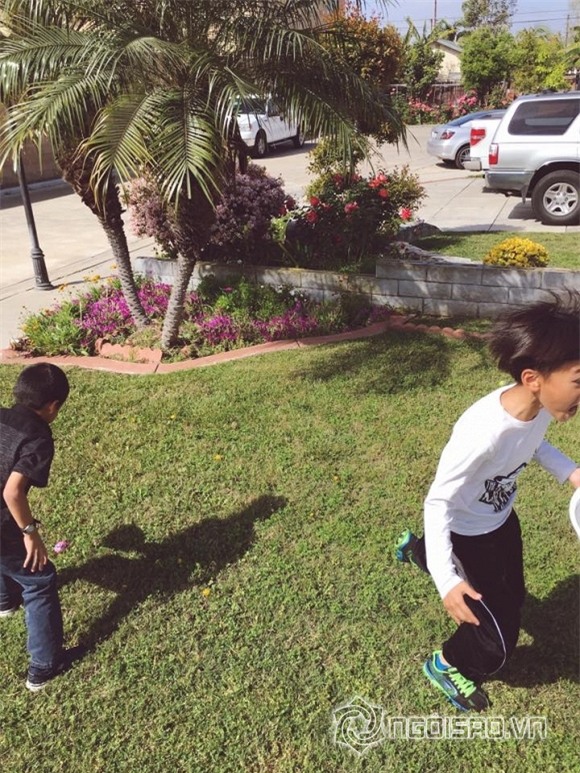 Khu vườn sao Việt ở nước ngoài 10