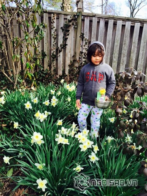 Khu vườn sao Việt ở nước ngoài 4