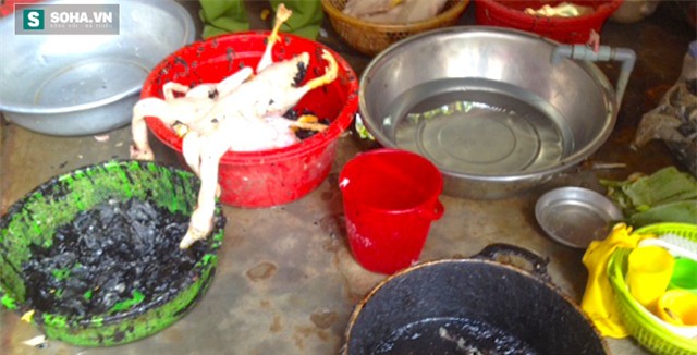 Dùng nhựa thông pha với nến đen kịt rồi đun nóng để vặt lông vịt