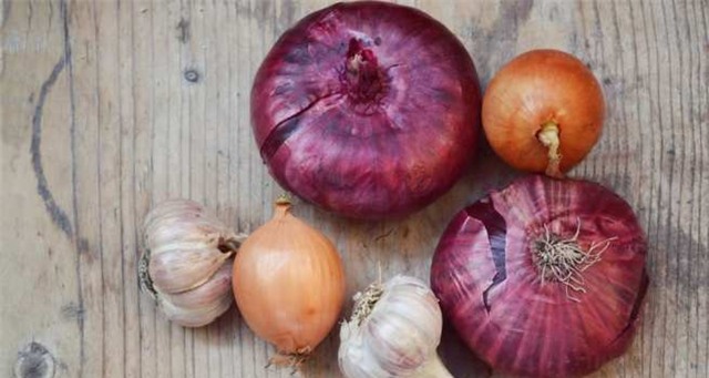 9 thu pham khien vung kin nang mui - 3