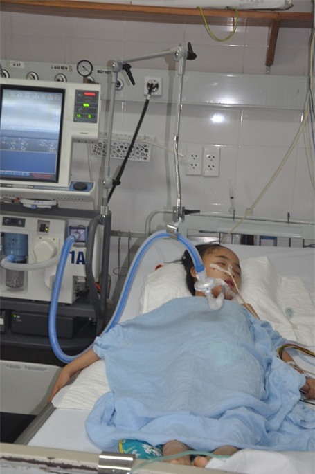 Em đang rất cần sự giúp đỡ.