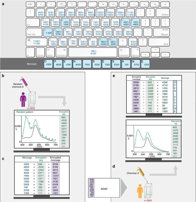 điệp viên, mật mã, mật khẩu