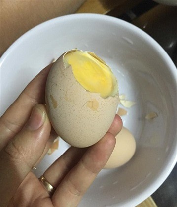 Trứng gà, trứng gà ấp dở, trứng gà ung, trứng ung, tác dụng của trứng ung, mua trứng ung ở đâu