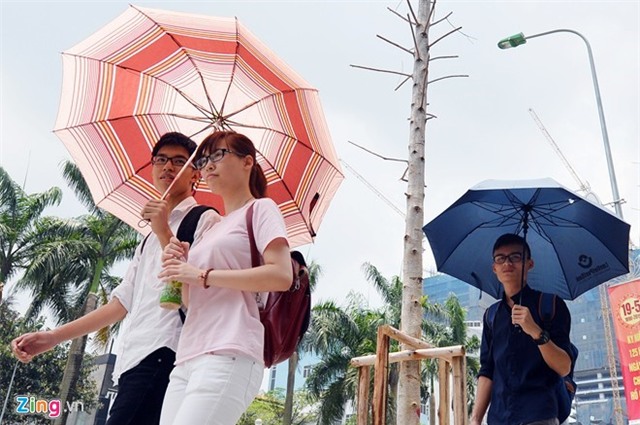 Nang nong tren dien rong keo dai sang tuan sau hinh anh 1