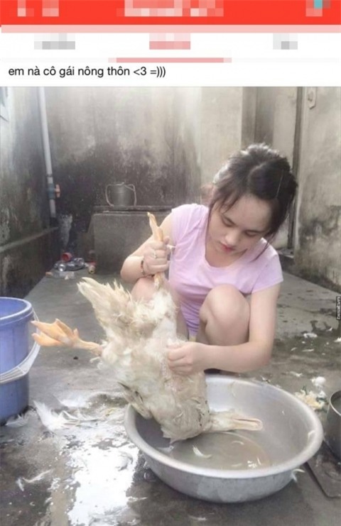 Dân mạng truy tìm