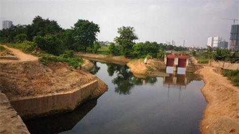 rau xanh trong bang nuoc den ngom, boc mui hoi thoi - 2