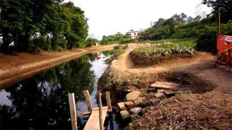 rau xanh trong bang nuoc den ngom, boc mui hoi thoi - 8