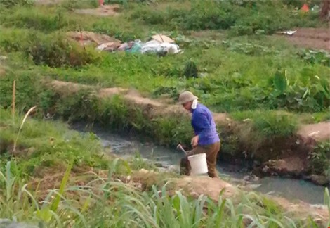 rau xanh trong bang nuoc den ngom, boc mui hoi thoi - 9