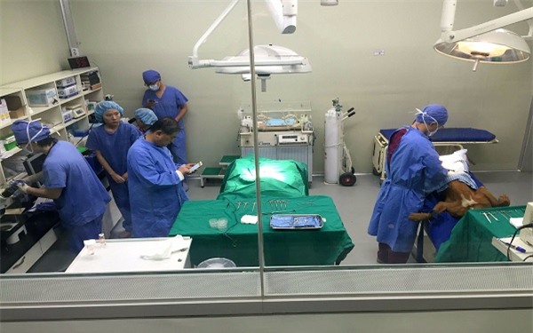 Máy phẫu thuật bị ngừng hoạt động do... trình diệt virus - Ảnh 1.