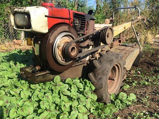 rau hữu cơ, rau sạch, phá vườn rau sạch, phun thuốc diệt cỏ, lây nhiễm chéo