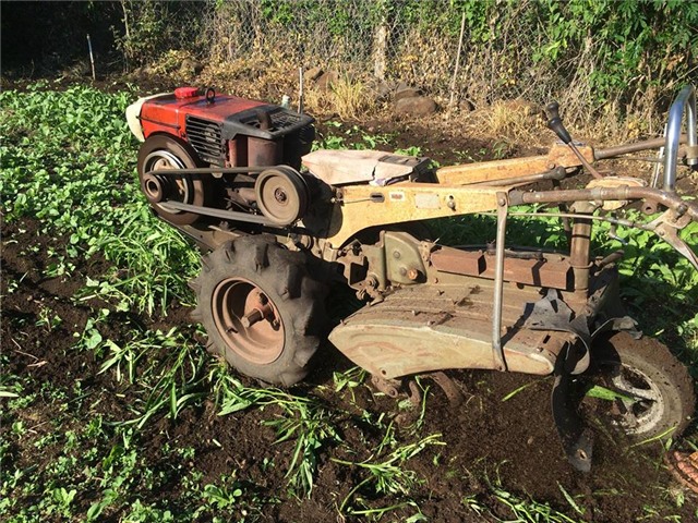 rau hữu cơ, rau sạch, phá vườn rau sạch, phun thuốc diệt cỏ, lây nhiễm chéo