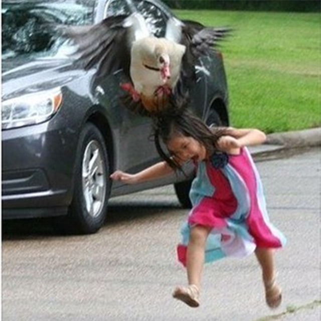 Cô chị có tâm đăng ảnh em gái bị ngỗng tấn công lên mạng mua vui - Ảnh 2.