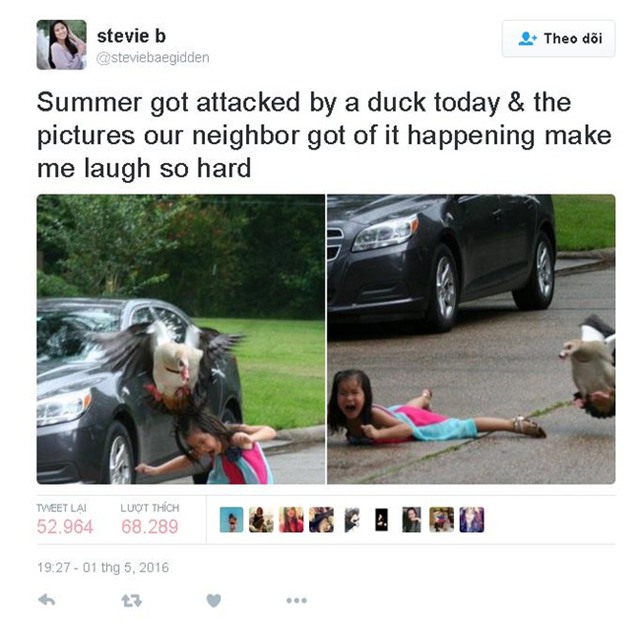 Cô chị có tâm đăng ảnh em gái bị ngỗng tấn công lên mạng mua vui - Ảnh 4.