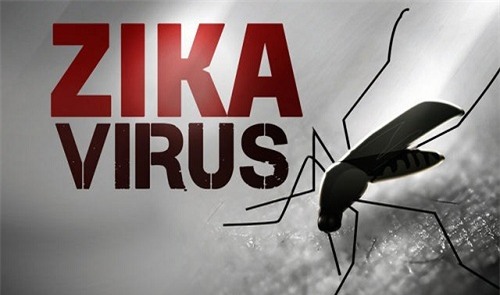 mot nguoi han quoc nhiem virus zika sau khi tro ve tu viet nam - 1
