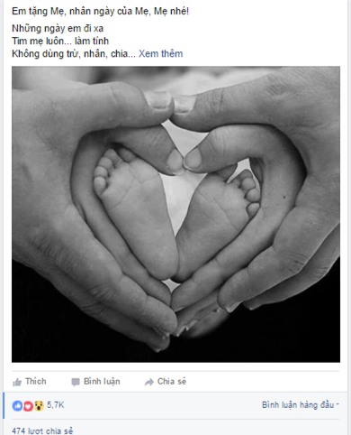 Bai tho xuc dong cua Do Nhat Nam viet ve ngay cua me hinh anh 1