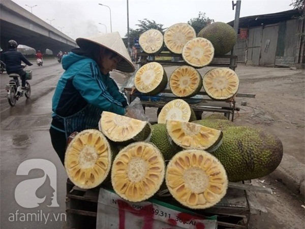 Hóa chất, mít xanh, mít chín vàng
