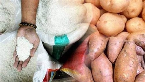 Nhờ thu về khối lợi nhuận khổng lồ, gạo giả làm từ nhựa và khoai vẫn được “lừa” bán rộng rãi trên thị trường Trung Quốc (đặc biệt là thành phố Thái Nguyên,tỉnh Thiểm Tây) cùng với một số nước khác trong khu vực trước khi bị phanh phui chân tướng. (Ảnh minh họa).