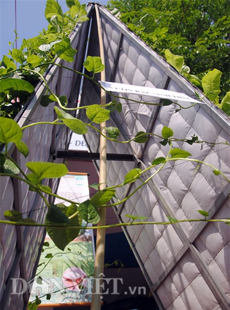 Mê mẩn vườn treo rau sạch thông minh dành cho nhà chật-12