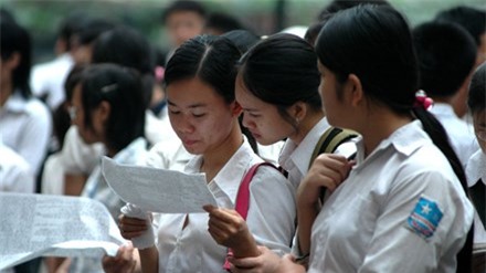 lien tiep phat hien cac de thi ra au o ha nam hinh anh 1