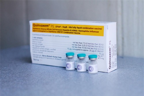 Trẻ tử vong do sốc phản vệ sau tiêm Quinvaxem mắc bệnh cơ tim giãn - Ảnh 1