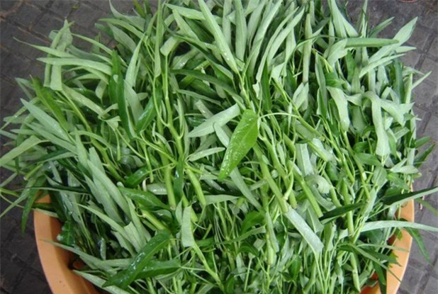 Nên chọn rau muống có độ tốt vừa phải, thân nhỏ, lá nhỏ, màu xanh bình thường là rau an toàn.