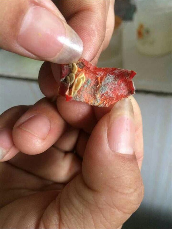 Ớt đỏ cũng trong tình trạng tương tự.