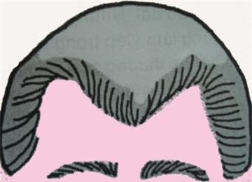 Tướng trán chữ M.