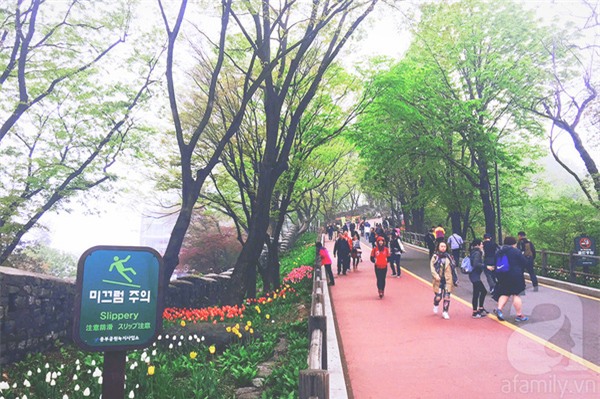 du lịch hàn quốc