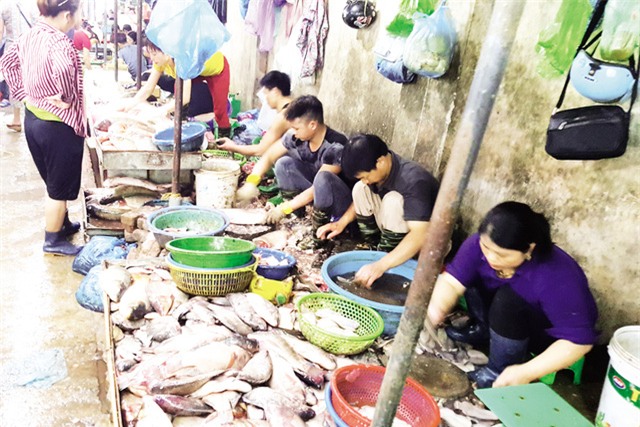 cá ươn, giá rẻ, thực phẩm, Hà Nội, Dịch Vọng Hậu, cơm bình dân, bún cá, cá thối, cá chết, dân buôn, cá biển, khách hàng