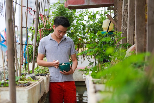 Mô hình VAC nuôi gà, lợn, chim, thả cá...trồng rau trên nóc nhà giữa thủ đô-11