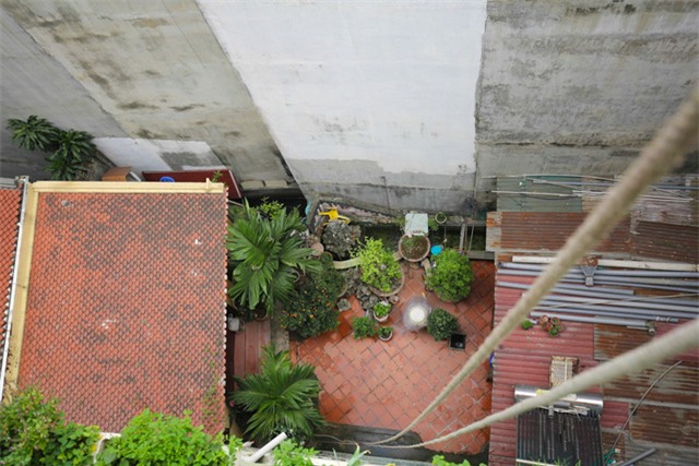 Mô hình VAC nuôi gà, lợn, chim, thả cá...trồng rau trên nóc nhà giữa thủ đô-17