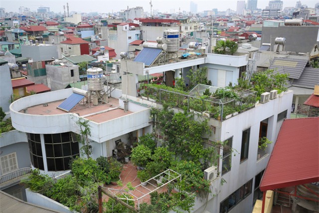Mô hình VAC nuôi gà, lợn, chim, thả cá...trồng rau trên nóc nhà giữa thủ đô-18